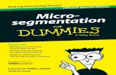 Micro-segmentation For Dummies