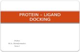 Protein – ligand ppt