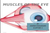 Muscles of the eye