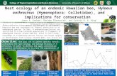 Nest ecology of an endemic Hawaiian bee, Hylaeus anthracinus (Hymenoptera: Colletidae), and implications for conservation