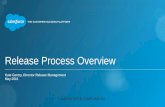 Release Process Overview