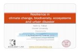 Kgt COP 10 cities & biodiversity summit