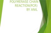 Polymerase chain reaction(PCR)