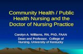 Community Health / Public Health Nursing and the Doctor of ...