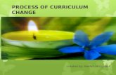 Process of curriculum change