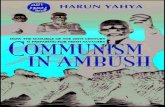 Communism in ambush. english