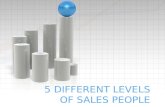 5 different levels of sales people