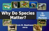 Why Do Species Matter?