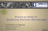 Practical skills in scanning electron microscope