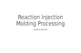 Reaction Injection Molding Processing
