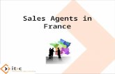 Sales agents in France