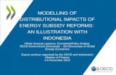 Modelling of Distributional Impacts of Energy Subsidy Reforms:  An Illustration with Indonesia