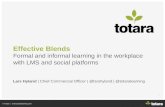 Effective Blends: Formal and informal learning in the workplace with LMS and social platforms