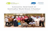 Lessons learned in Somalia Nutrition Cluster