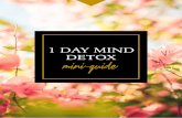Mind Detox Mini-Guide