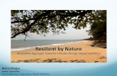 Hurricane Impact Preparedness and Resilient by Nature Recovery