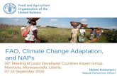 FAO, Climate Change Adatation, and NAPs