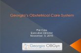 Women's Access to Healthcare - Georgia OBGYN Presentation