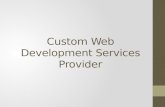 Custom web development services provider   outsource web development company