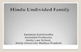 Joint hindu family