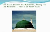 The Last Sermon of Muhammad , Mercy to the mankind (p b u h)