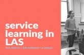 Service learning in liberal arts and sciences
