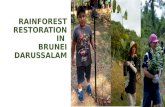 Rainforest Restoration in Brunei Darussalam