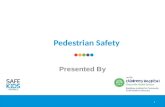 Pedestrian safety powerpoint