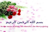 Online Quran memorization Course Download