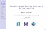 Presentation - Mechanical-tunable Structural Color Inspired by Chameleon Skin