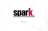 Spark Digital Strategy - Overview of Services