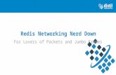 Redis Networking Nerd Down: For Lovers of Packets and Jumbo Frames- John Bullard, Distil Networks