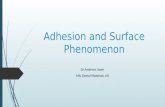Adhesion and surface phenomenon