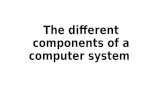 The different components of a computer system