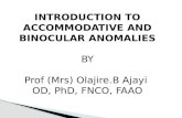 Introduction to accommodative and binocular anomalies