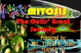 mitosis: the cells' great journey