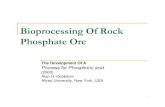 Bio process-phosphate rock
