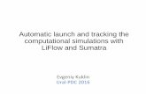 Automatic Launch and Tracking the Computational Simulations with LiFlow and Sumatra