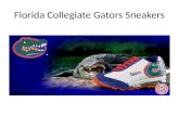 Florida collegiate gators sneakers