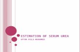Estimation of serum urea