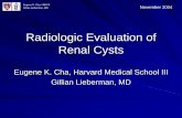 Radiologic Evaluation Of Renal Cysts