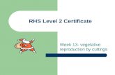 Rhs level 2 certificate year 1 session 13 overview 2015