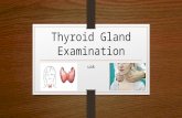 Thyroid gland examination
