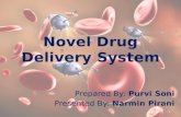 Novel drug delivery system