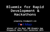 Bluemix for Rapid Development & Hackathons