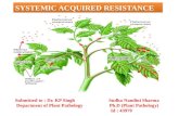 SYSTEMIC ACQUIRED RESISTANCE ppt