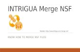 Merge two or more lotus notes archive NSF files with INTRIGUA Merge NSF Software.