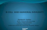 B-cell and humoral immunity