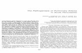 The Pathogenesis of Pulmonary Edema in Acute Pancreatitis