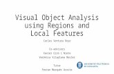 Visual Object Analysis using Regions and Local Features